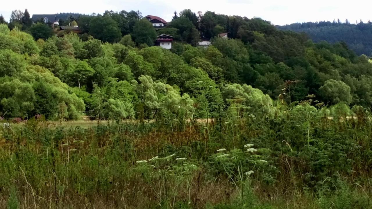 Willa Ferienhaus Im Ederbergland Hatzfeld Zewnętrze zdjęcie